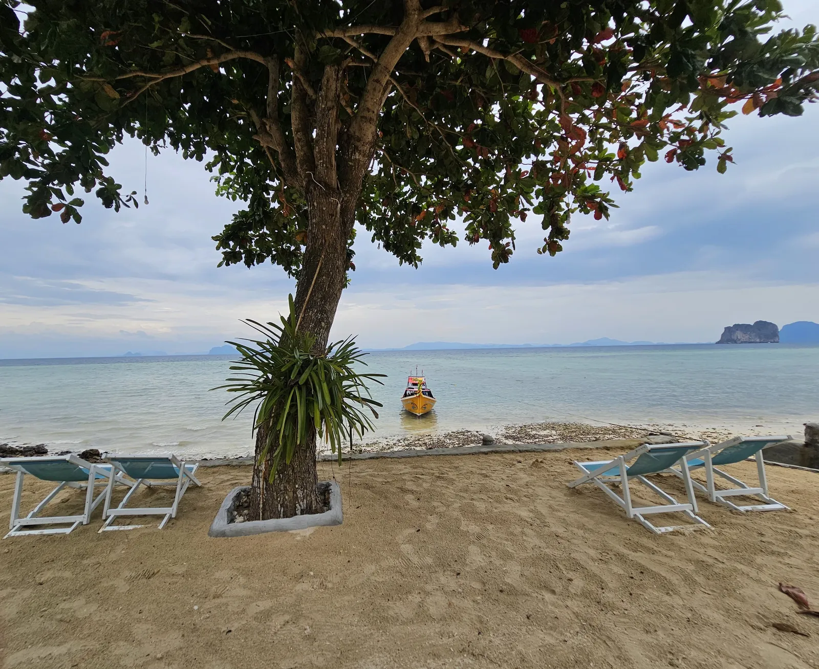 Beach view 6